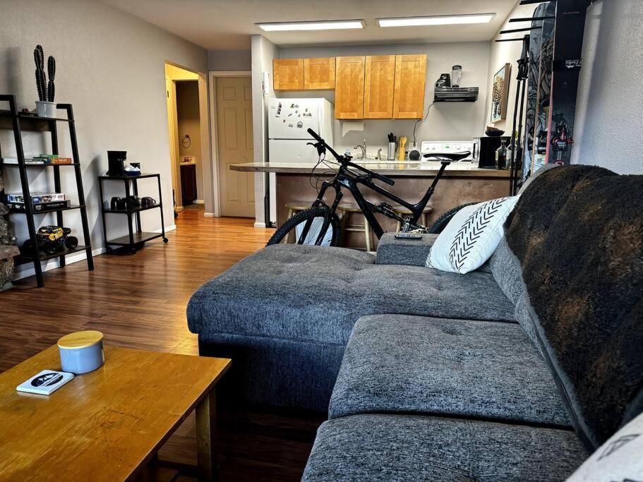 Cozy Condo In Winter Park - On Blue Bus Route - Walk To Downtown, Restaurants, Grocery Esterno foto